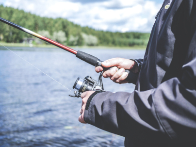 Pesca sin muerte 