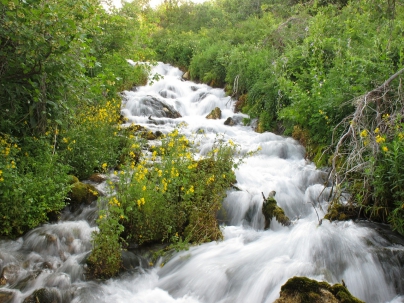 Agua en la naturaleza - Caldaria