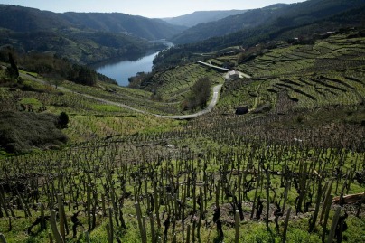 Ribeira Sacra 