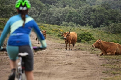 Rutas BTT O Xurés