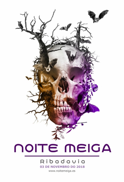 Cartel Noite Meiga