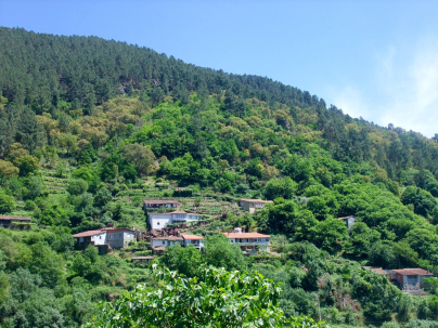 Naturaleza en la Ribeira Sacra