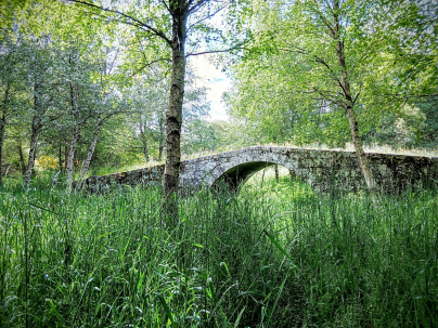 Puente en la Ribeira Sacra