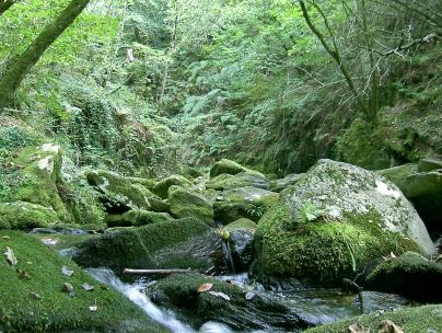 Fragas do Eume - Caldaria