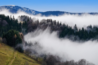 Bosques - Caldaria