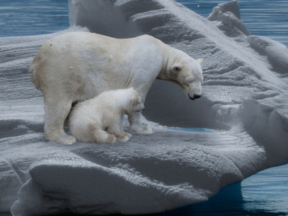 Cambio climático