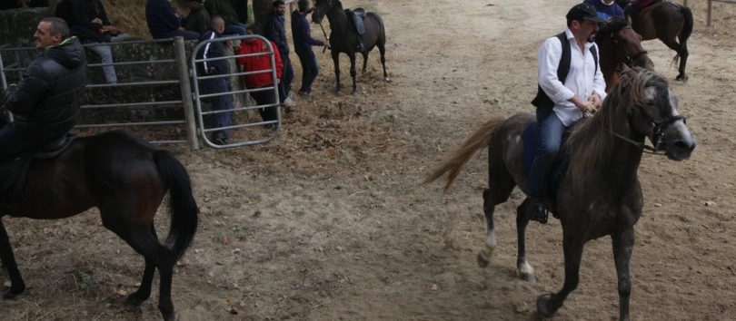 Fiesta del caballo en Maside