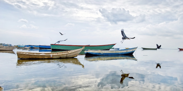 Agua en el planeta 