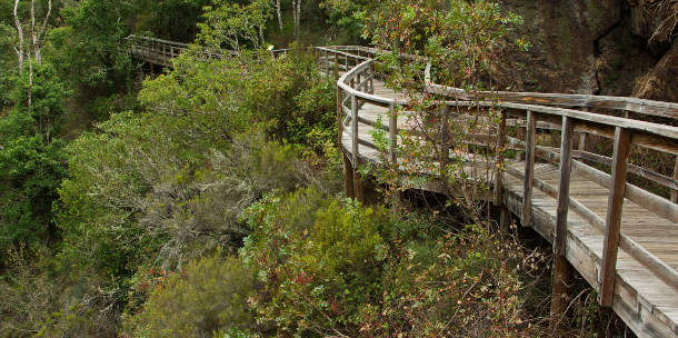 Pasarela del Río Mao