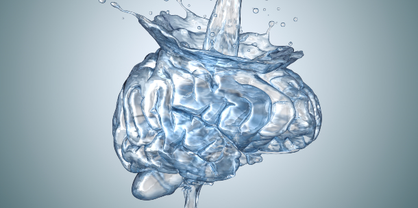 Cerebro y agua