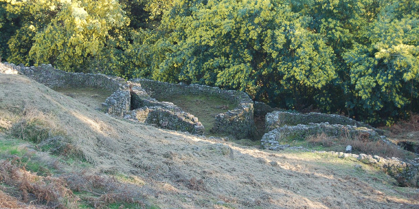 Castro de Troña