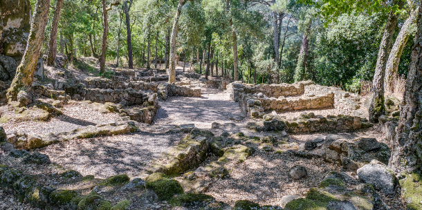 Castros de Galicia