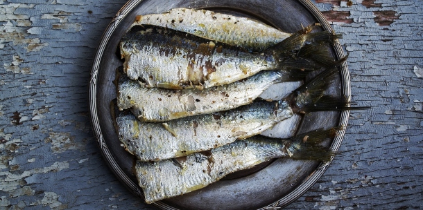 Sardinas