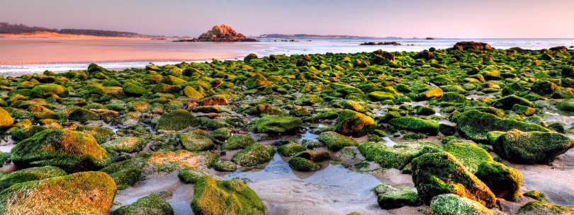 Dunas de Corrubedo