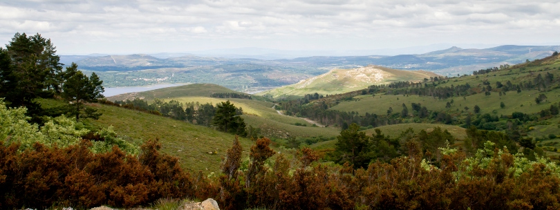 Serra do Xurés