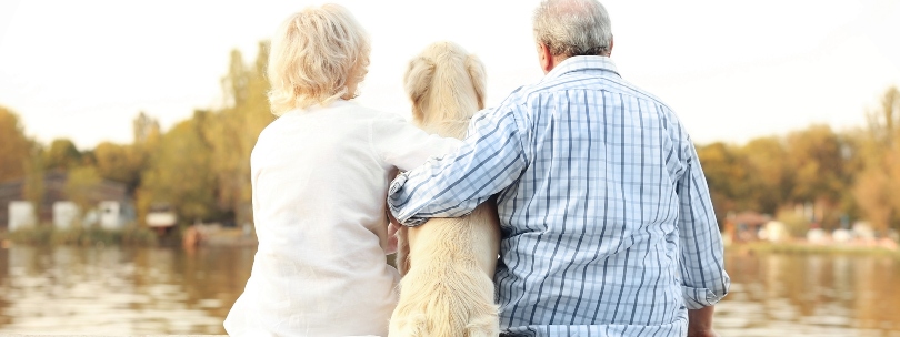 Pareja con perro