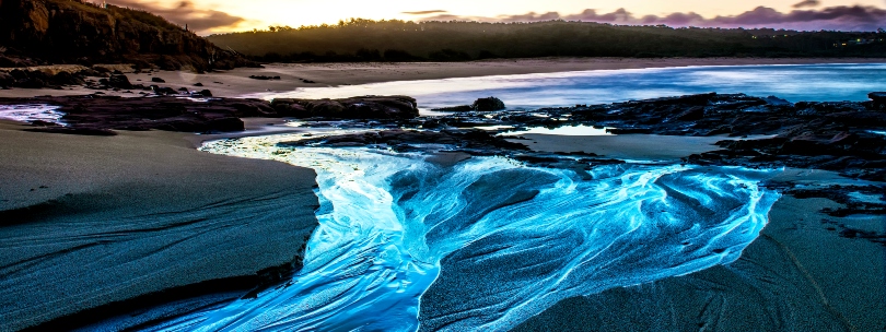 Playa bioluminiscente